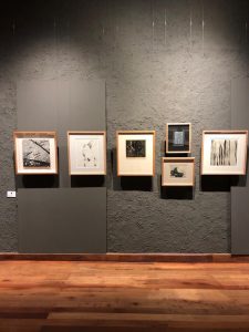expo-lomatta14