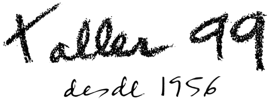 cropped-cropped-logo-desde-1.png