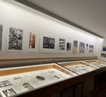 Registro de exposición EL CURSO DE LAS IMPRESIONES